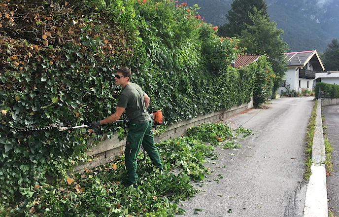 Gartenpflege